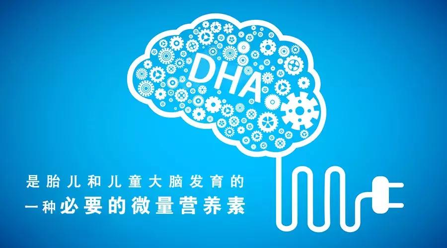 为什么儿科医生不建议吃dha,dha到底有多重要该怎么补