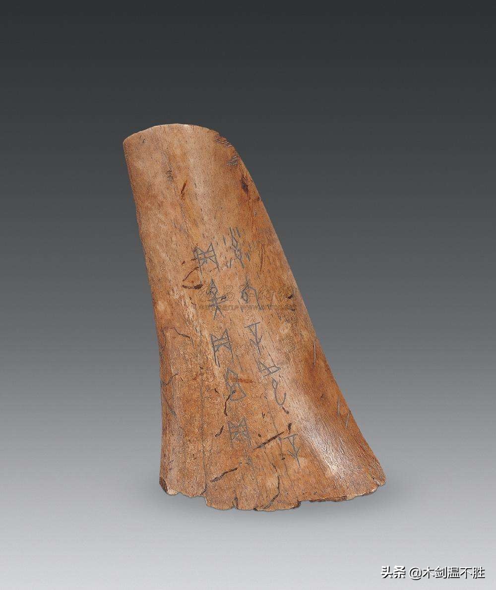 甲骨文前世今生,甲骨文中的祖先