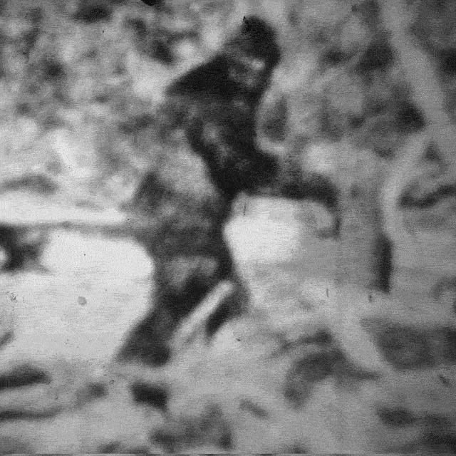 12张难以置信的老照片,一张难以置信的老照片