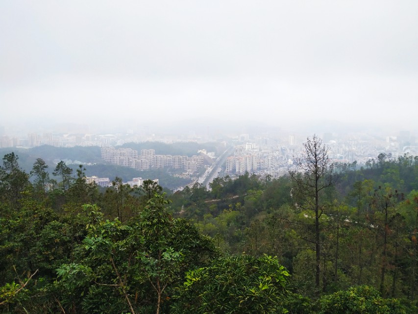 周日跟随珠海户外网板樟山游记