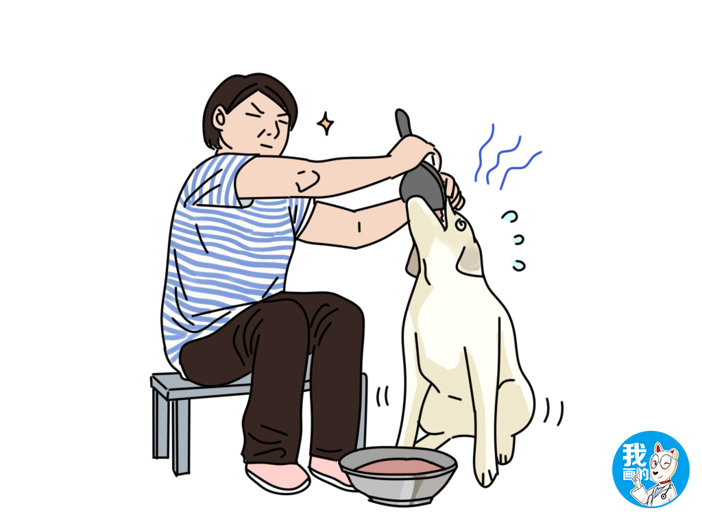 冬季狗毛长得快,什么办法能让狗子快速长毛