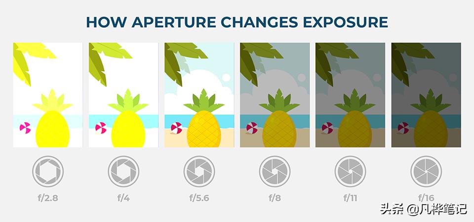 学习摄影知识入门看哪本书,摄影基础知识光圈