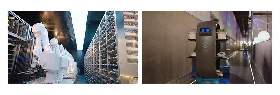 全案解析海底捞、呷哺、小龙坎..揭秘火锅行业的暴利与亏损真相