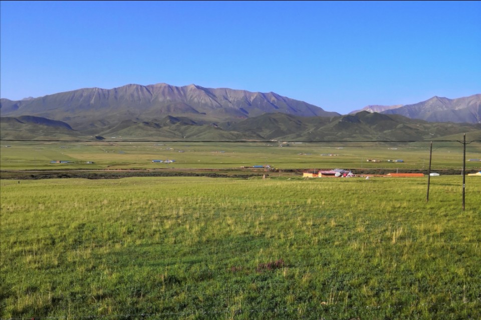 青甘大环线高反,旅游青甘大环线