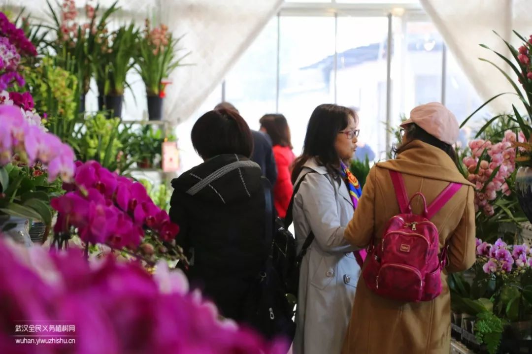 园艺沙龙|前方高能！一大波人相约逛花市，究竟淘了些啥？
