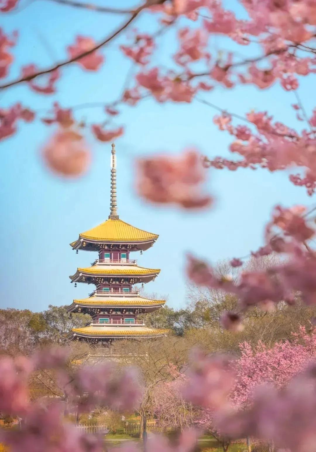 武汉历史上的十景,武汉官宣片