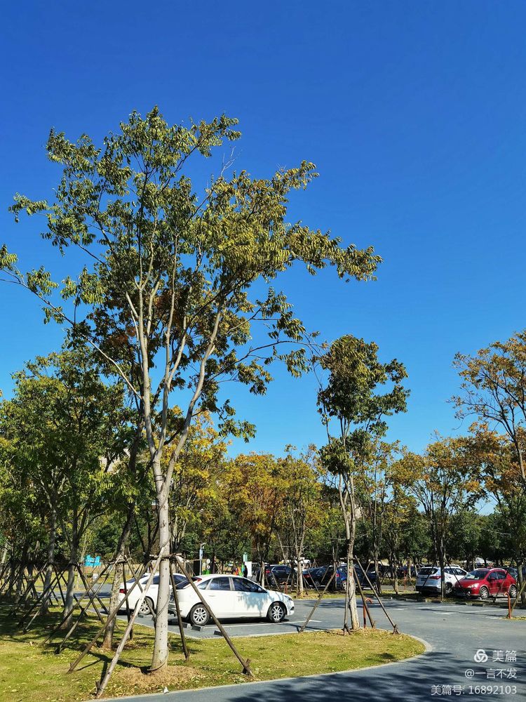 秋之旅免费完整版,秋之旅风景图片