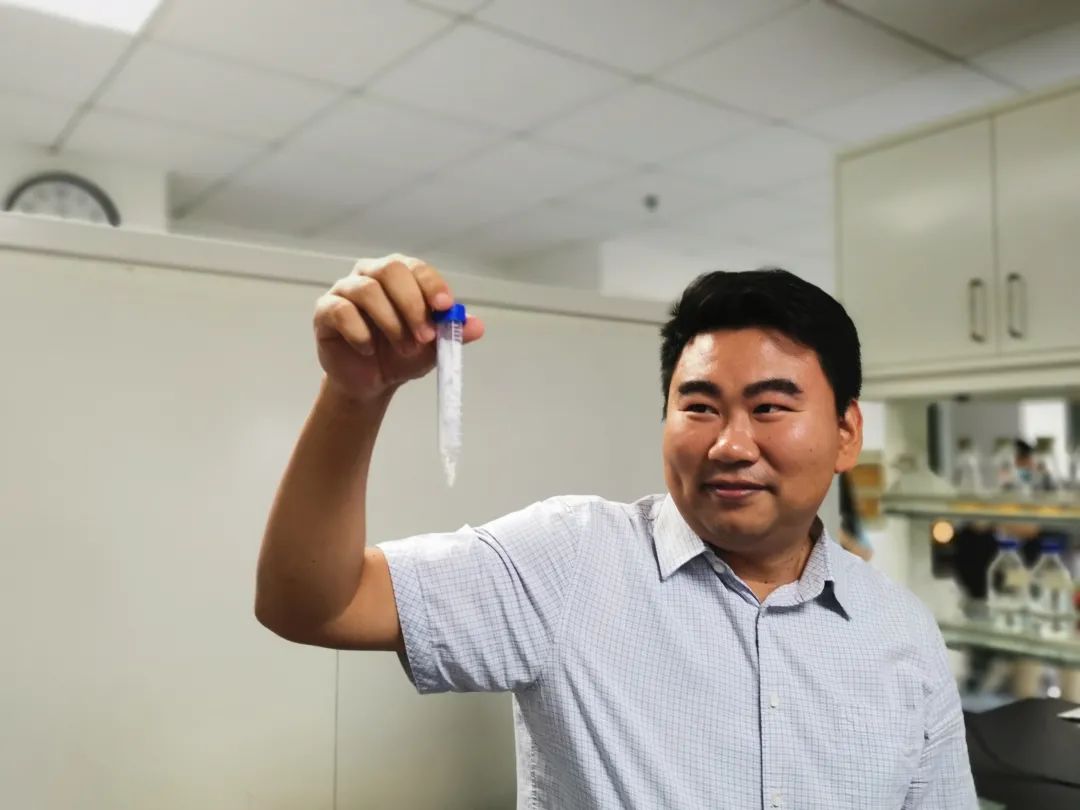 人工合成淀粉能拿诺贝尔奖吗,中国科学家突破人工合成淀粉技术