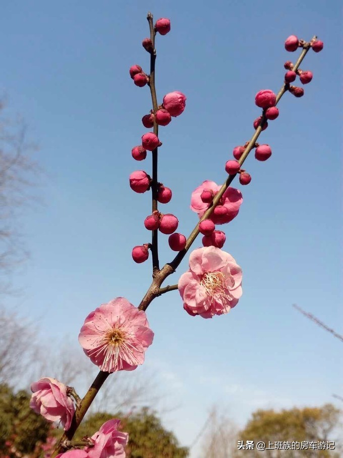 南通狼山一日游详细攻略图,夏天南通狼山一日游详细攻略