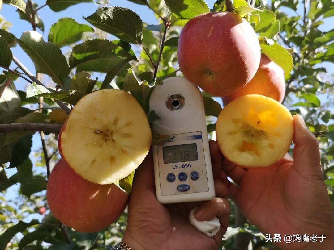 6月最该吃这5种营养水果,8月吃什么水果好吃又营养