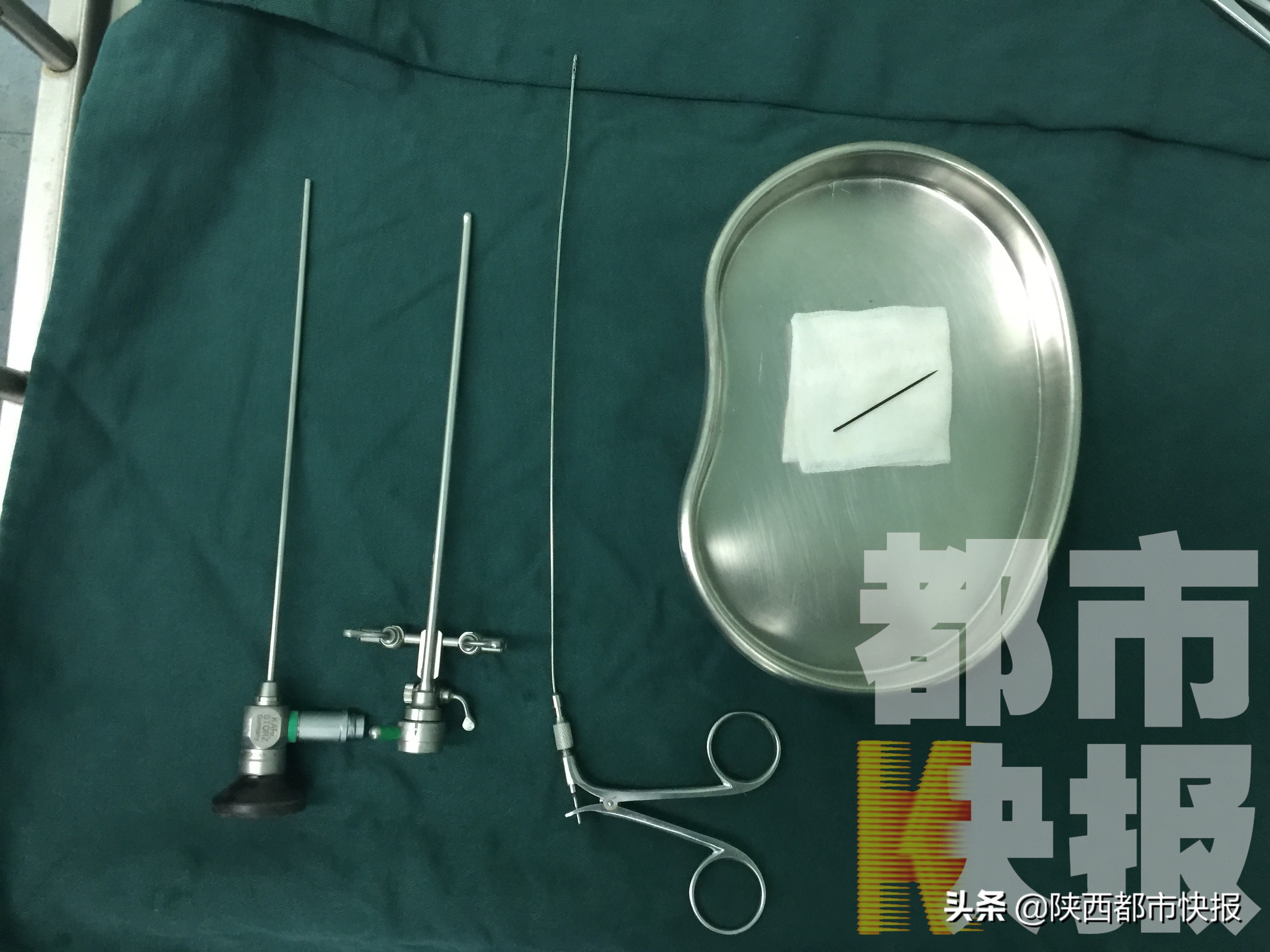 好奇惹祸事,儿童好奇惹的祸