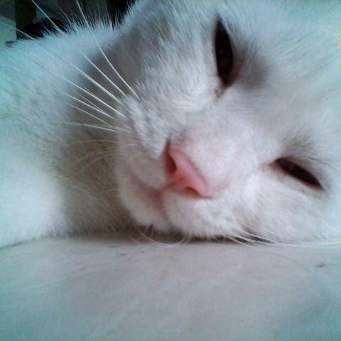 360儿童手表9x深度测评,360儿童手表9x开箱视频