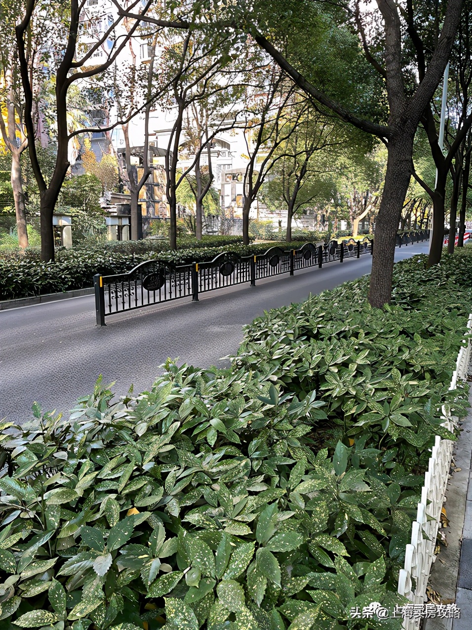 上海国际社区的兴衰古北篇,上海第一个国际社区