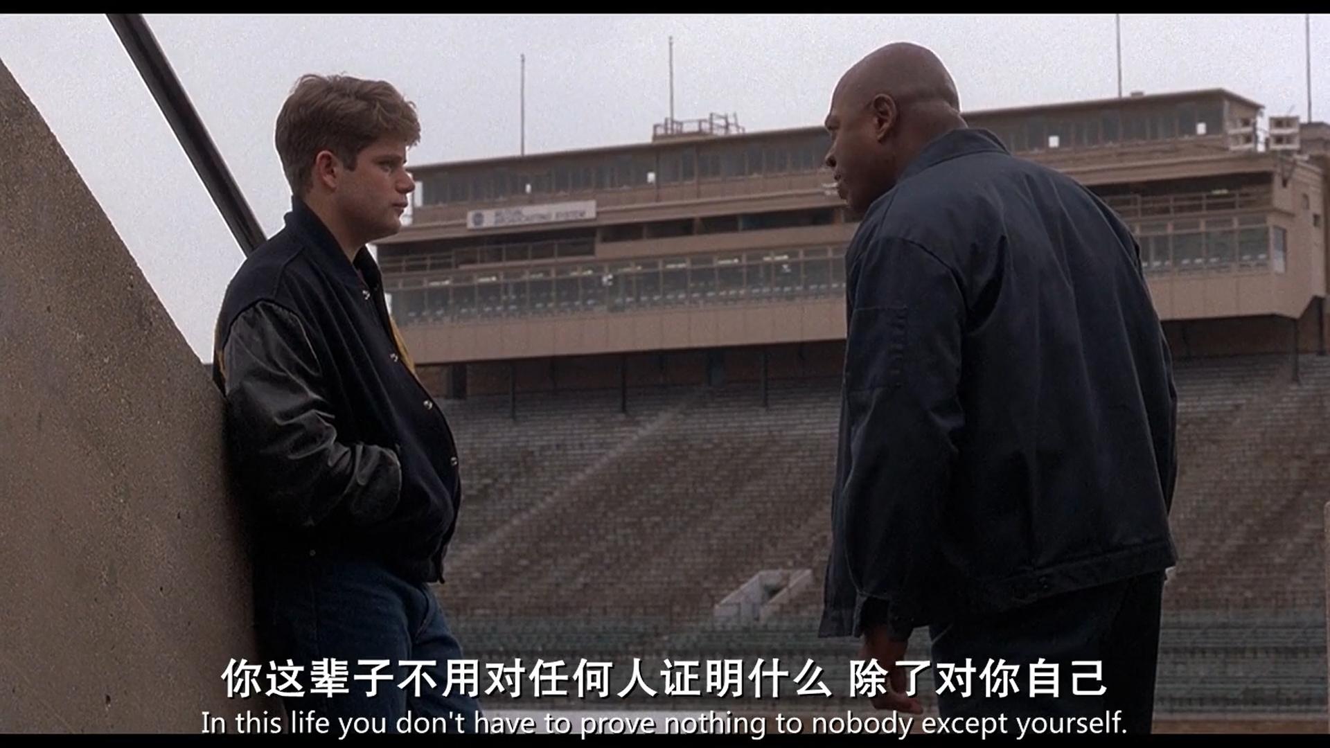 追梦赤子心观后感300字左右,追梦赤子心观后感500