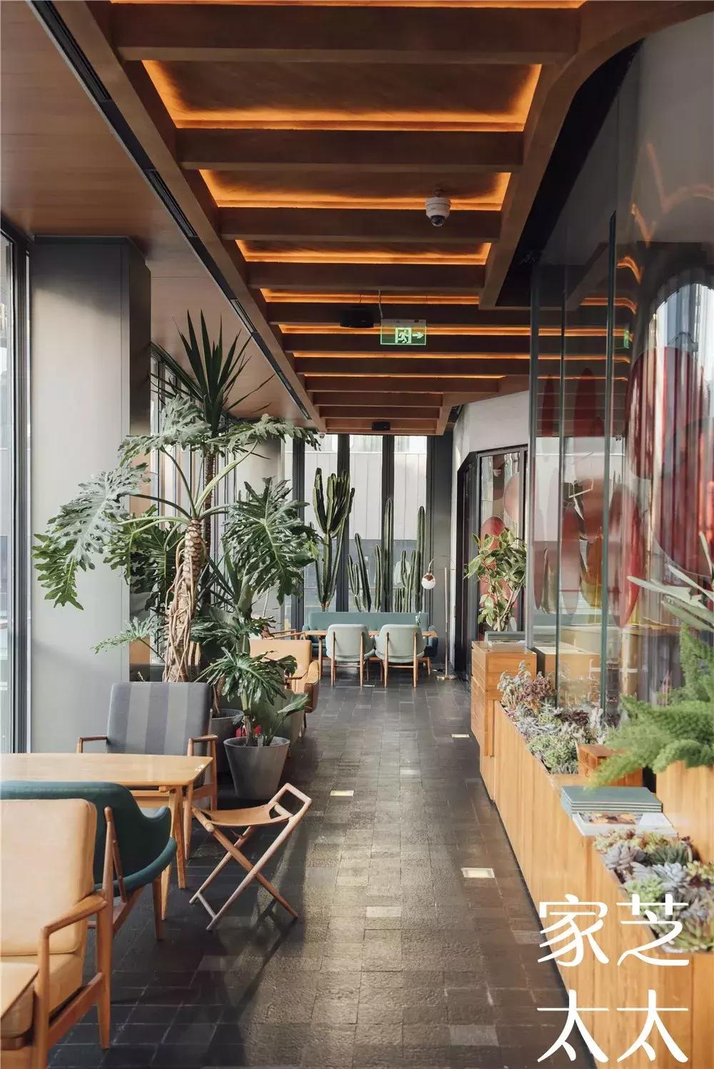 如何鉴定餐饮骗局真假,网红餐厅真实案例