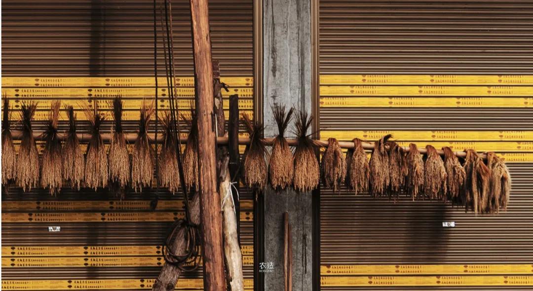 农造田野丨总有一根神经通往乡野|月亮山百里梯田