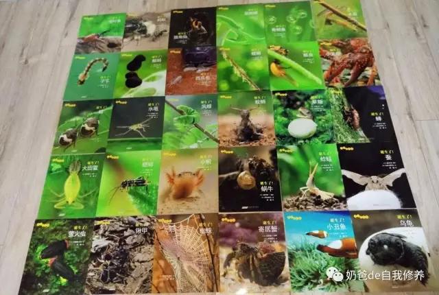 关于动物有趣的书小学生,关于动物好看的书有哪些