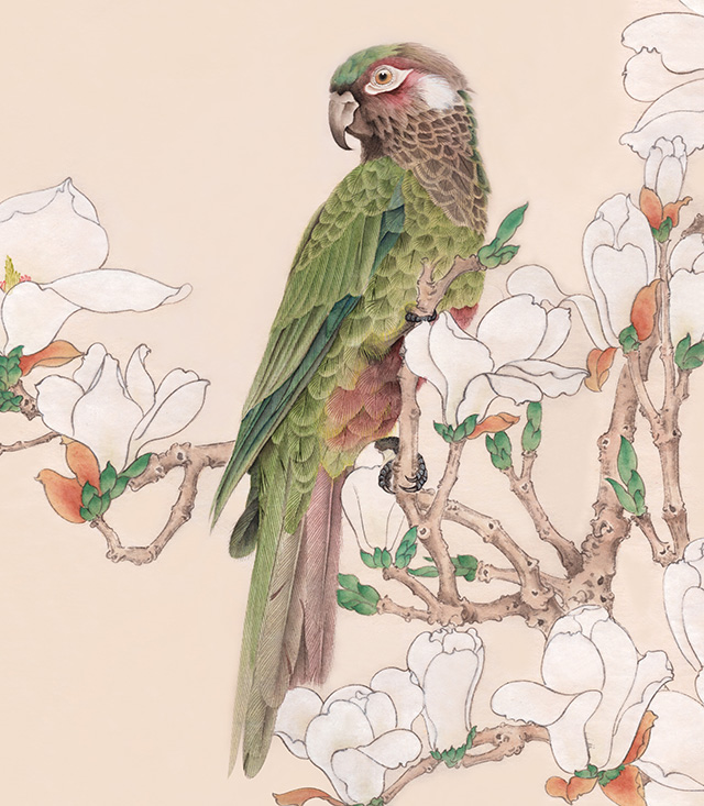 水仙花国画花鸟画图片欣赏,中国画花鸟画背景图片大全