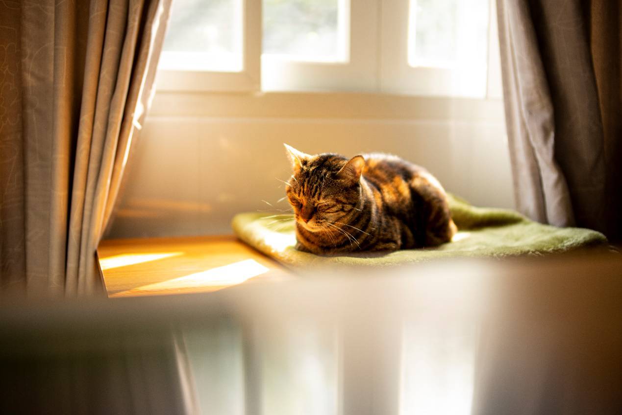 铭匠35mmf1.4使用教程,铭匠35mmf1.4和星曜50mm1.8