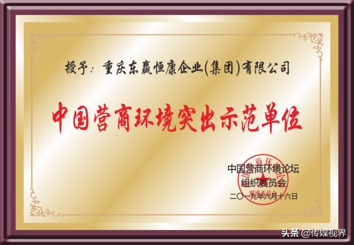 东赢恒康控股集团有限公司,东赢恒康集团