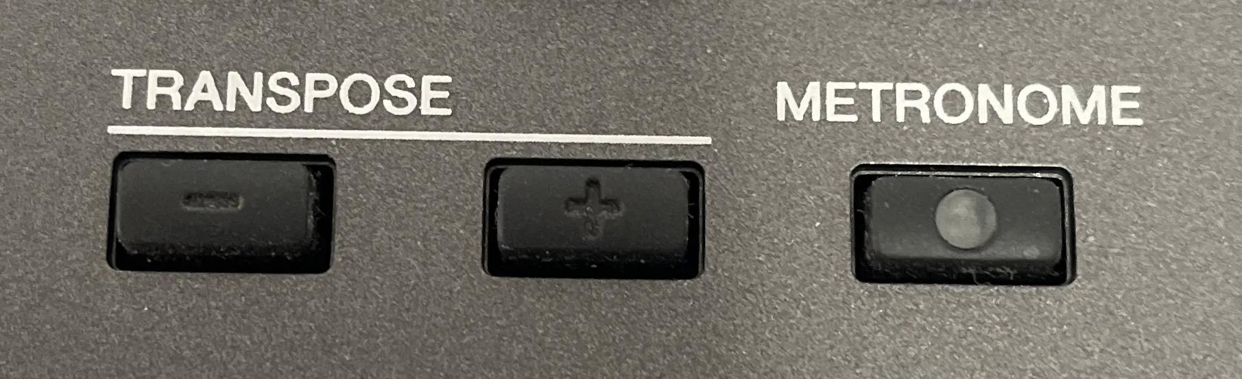 初学电子琴零基础入门,电子琴新手学不会