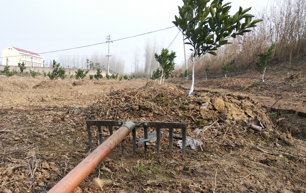 在农村用土地怎么创业,中年人在农村如何创业