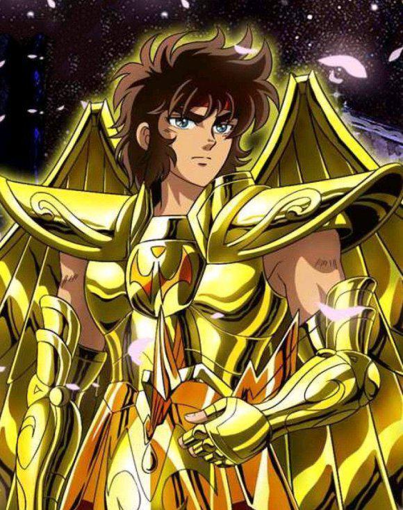 黄金圣斗士双子座撒加和白羊座,圣斗士黄金12宫详解