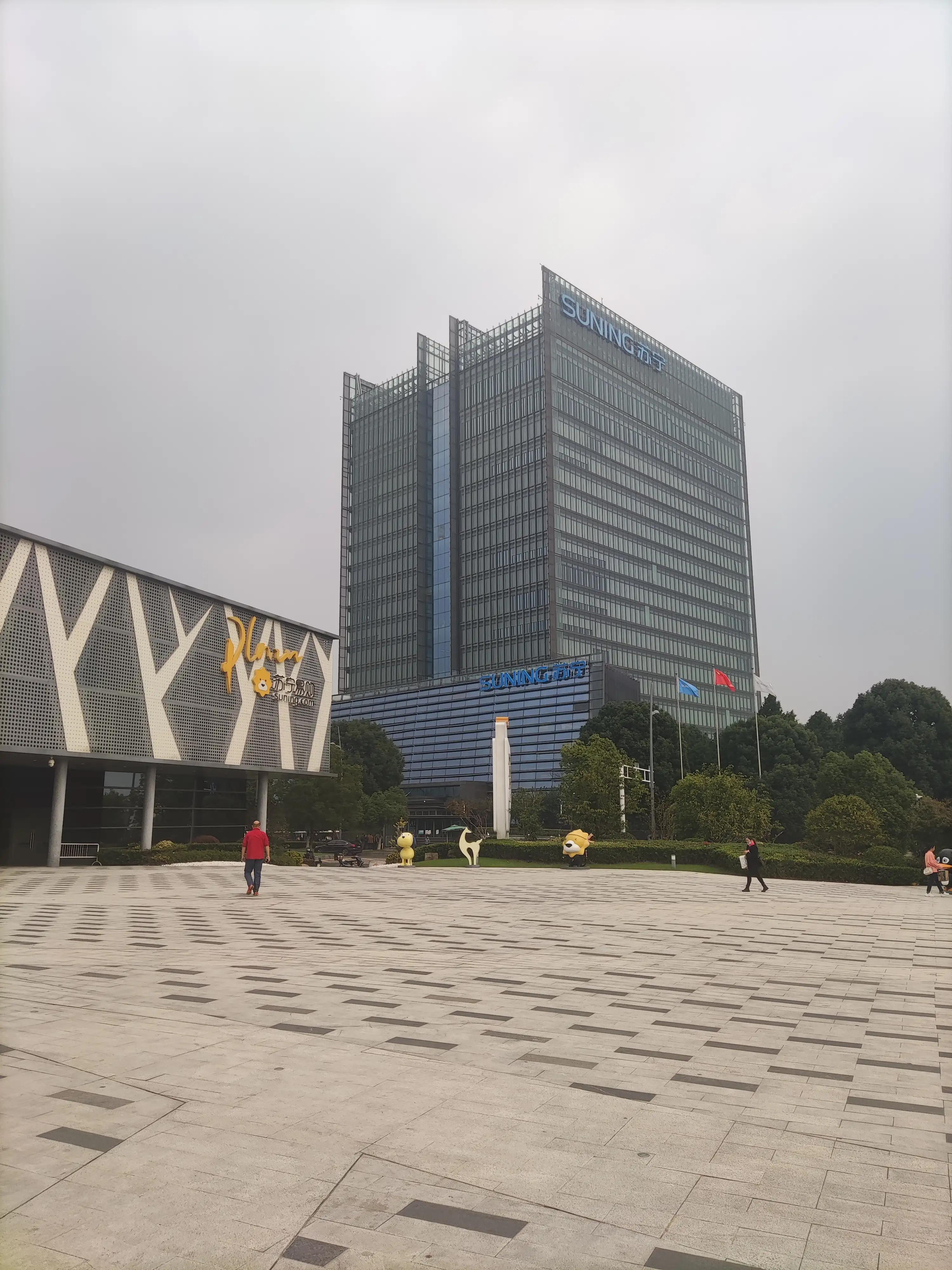 苏宁算是大厂吗,苏宁总部在哪个城市啊