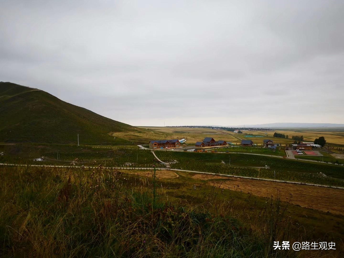 山丹军马场历史,山丹军马场的历史