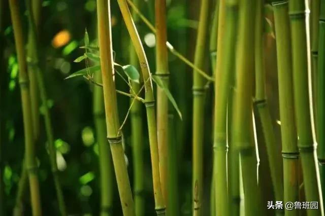 新材料家具,家具新材料的应用