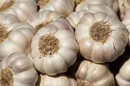 8月大蒜行情怎么样?市场下货顺畅蒜价持续上浮