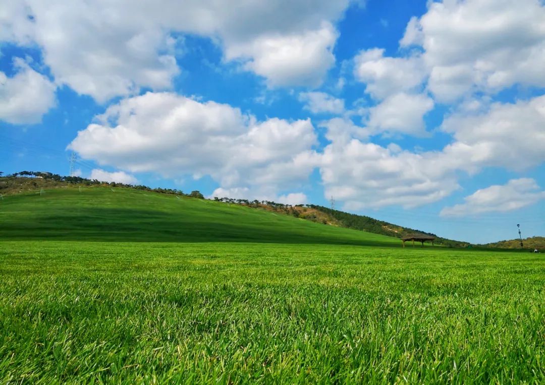 大连三寰牧场旅游攻略,大连三寰牧场草原视频