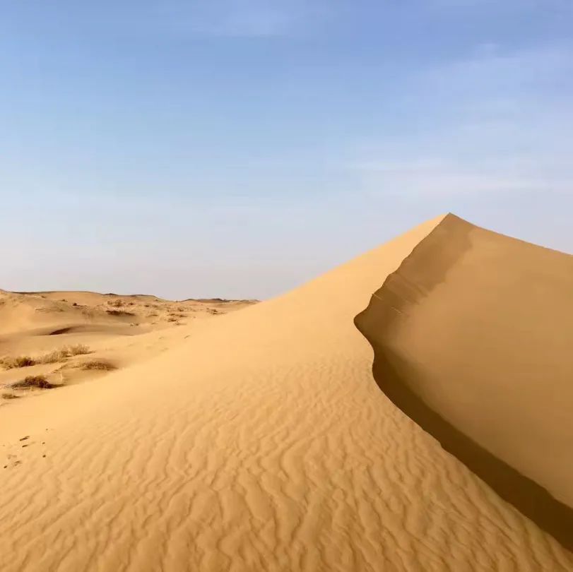 抖音做完酒店,又开始做旅行社“*梦春**”