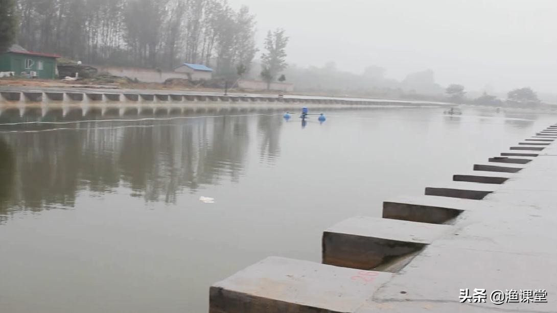 钓鱼新手们,谁告诉你们雾化越强越好的?正确使用雾化的方法在这