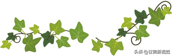 甘肃兰州最大的区,兰州最大的区是哪个区