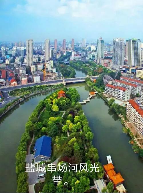 当代婚姻情感故事,连载：人狗情缘,一