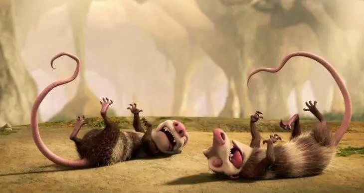 315曝光打假视频是真的吗,315曝光的动物