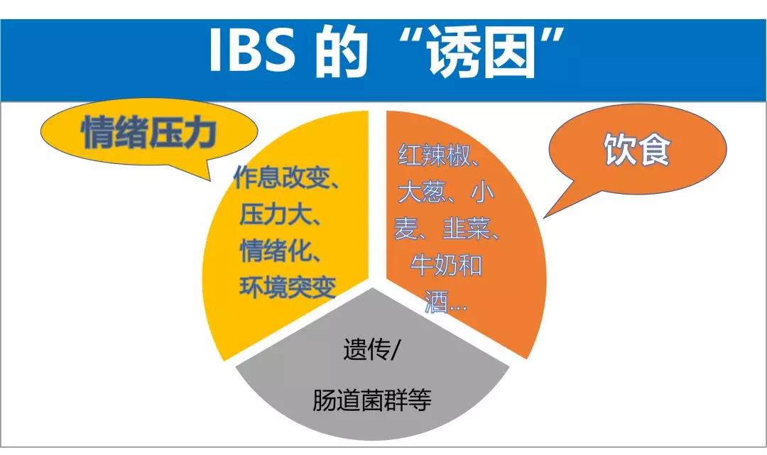 ibs肠易激综合征老是放屁,ibs肠易激综合征可以吃米线么