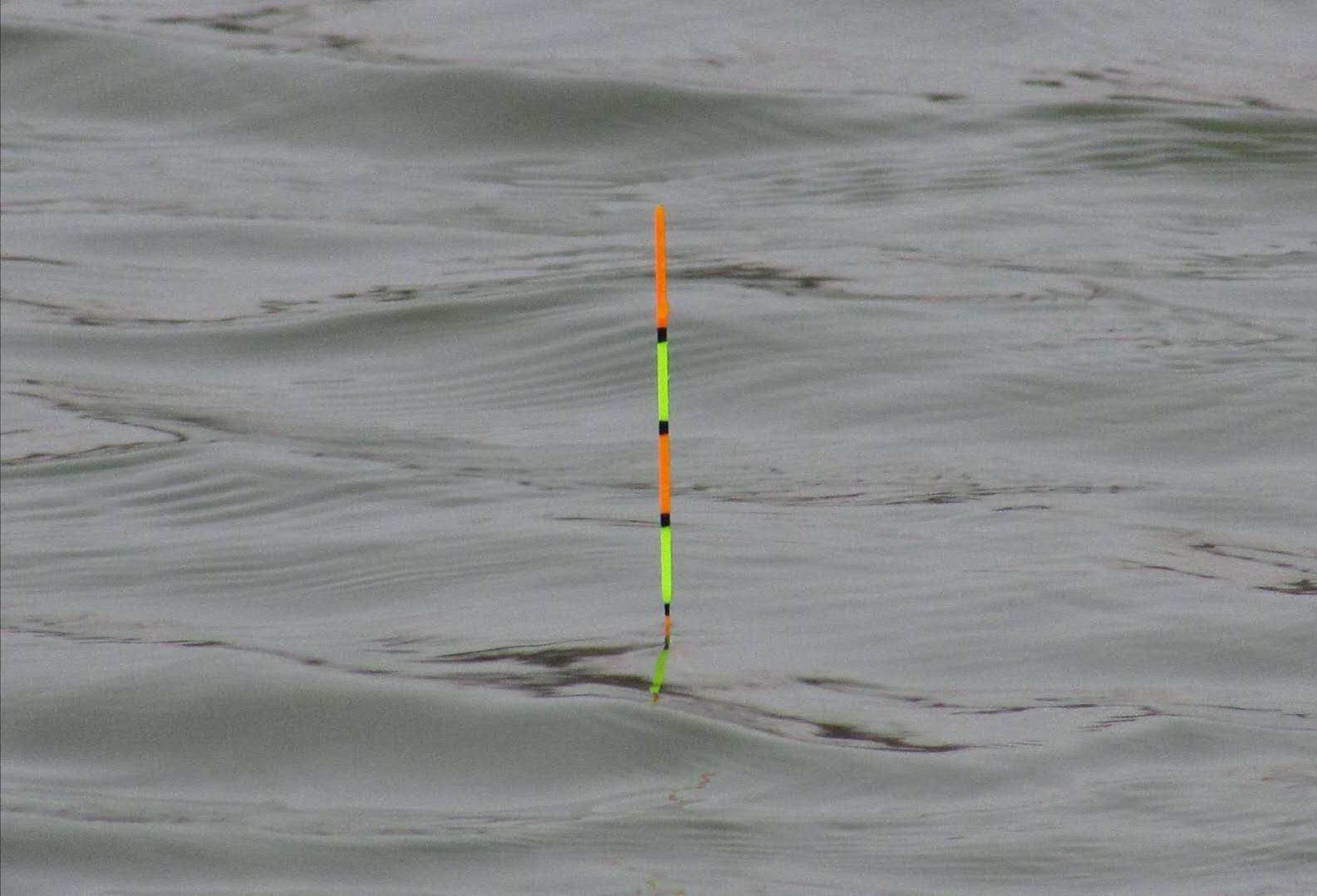 白条闹窝严重这4个方法你用过没,怎样防止白条闹窝视频教学