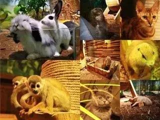 郑州正弘城好吃吗,郑州正弘城美食不辣