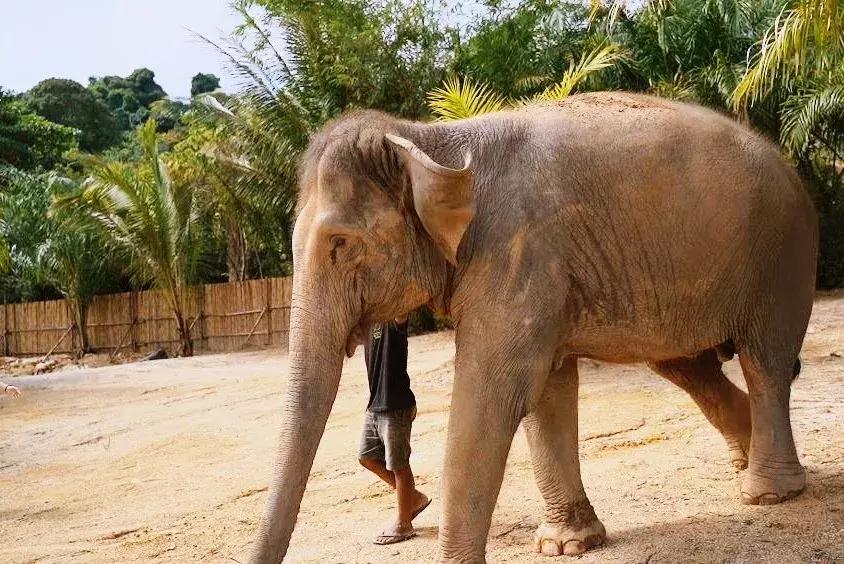 普吉岛7天6晚,普吉岛6天5晚高品质纯玩