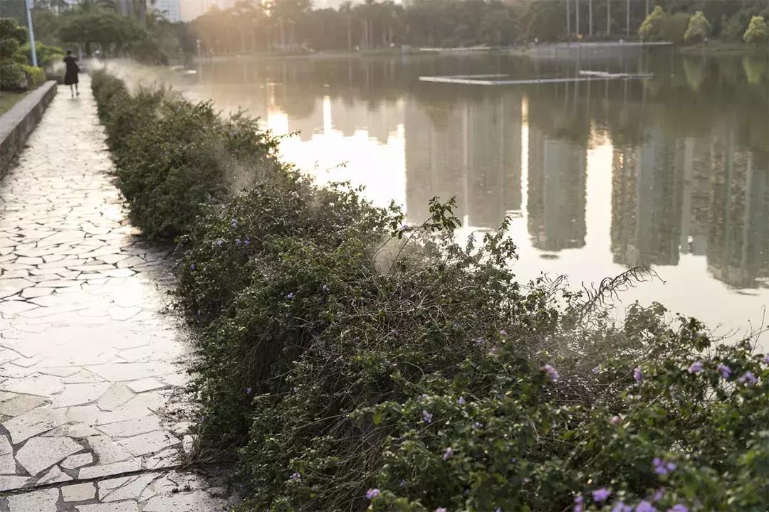 深圳大学游玩攻略一日游,深圳大学打卡攻略