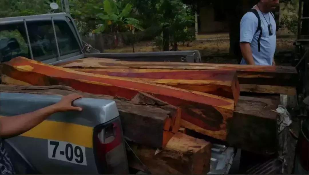 红木家具木材品种进口价格及图片,目前红木家具木材价格