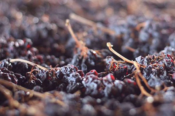 甜葡萄酒沉淀出了糖,葡萄酒怎么样才可以变甜