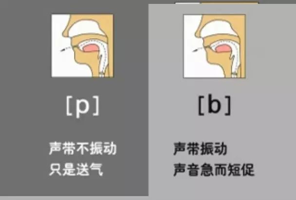 英语音标发音表48个音标正确读法,英语干货48个音标快速记忆法下