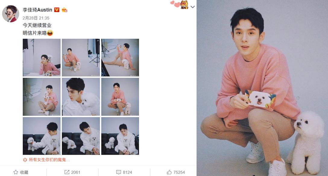 李佳琦的狗怎么火的,李佳琦的狗never