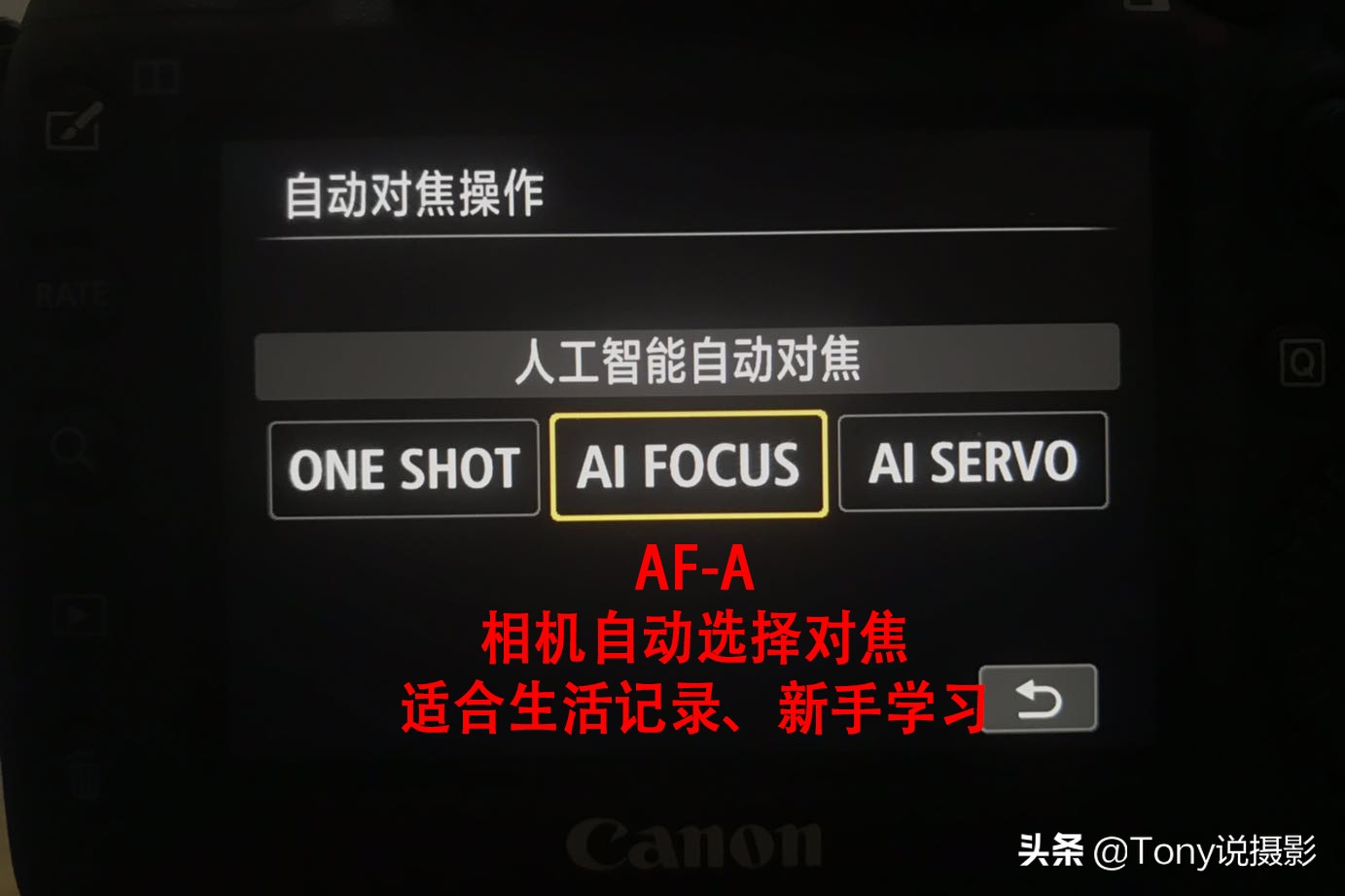 系统学摄影,摄影对焦入门教程