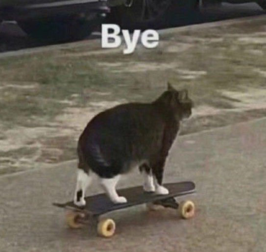 daily cici平价粉底液推荐 (学生党公认最好又平价的粉底液)