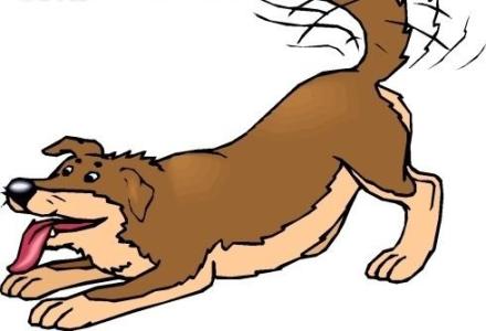 狗狗上厕所前刨地是什么意思,狗狗刨土啥意思