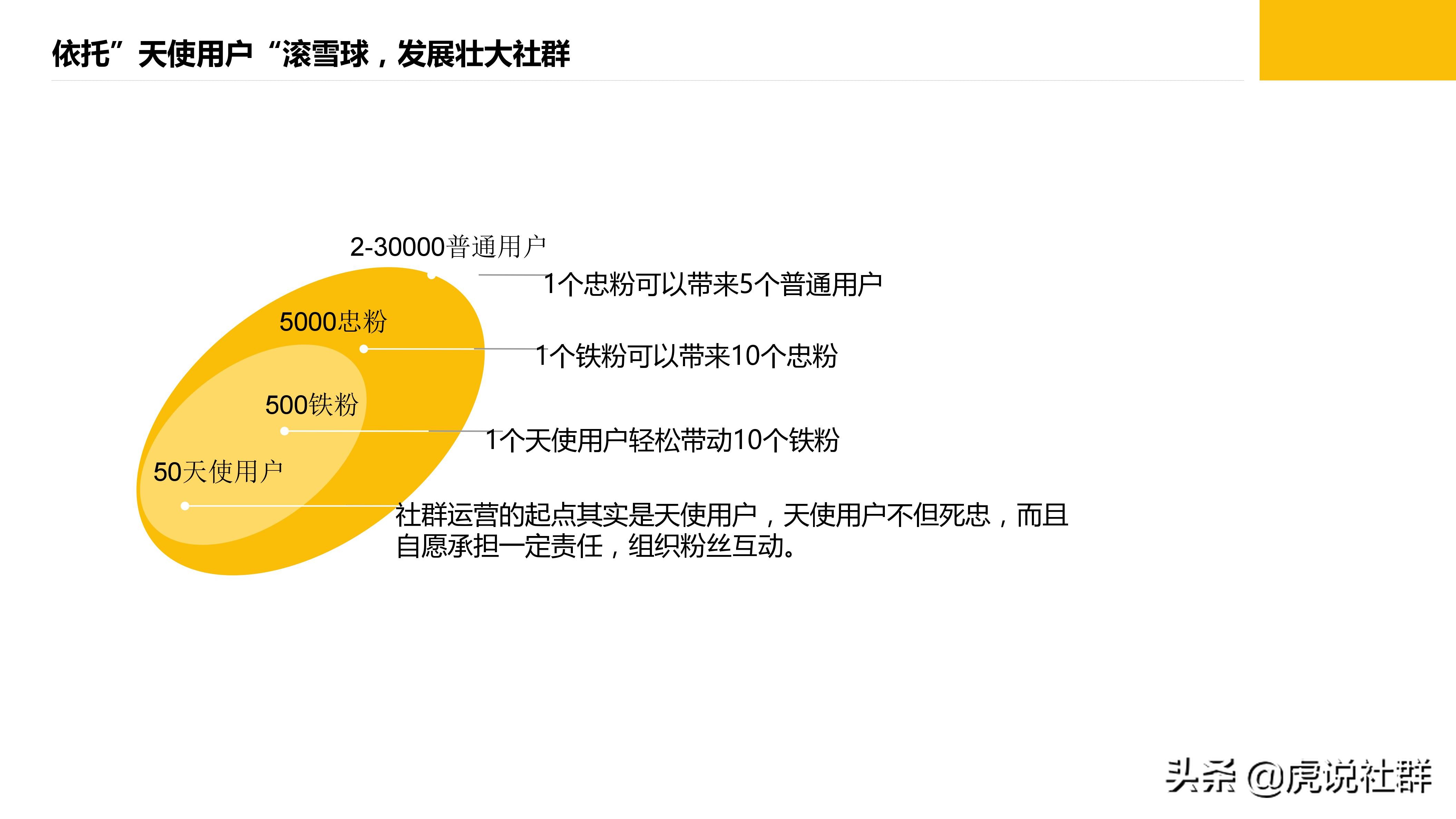 高校社群运营策划案,社群线下读书策划案